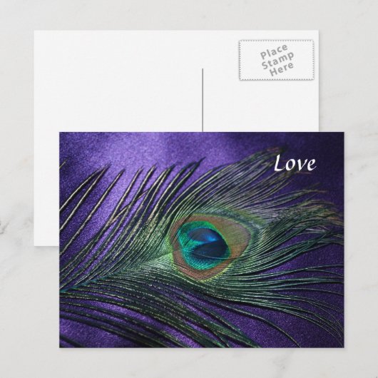 Silky Lila Peacock Feather Postkarte (Vorne/Hinten)