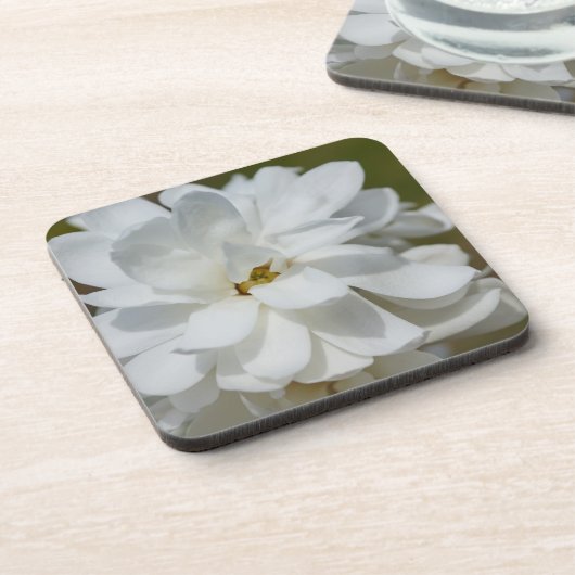 Silky Magnolia Getränkeuntersetzer (Linke Seite)