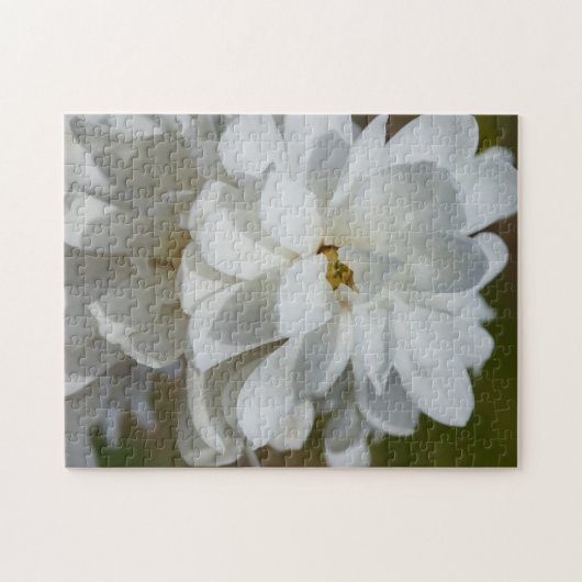 Silky Magnolia Jigsaw Puzzle (Horizontal)