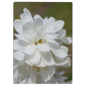 Silky Magnolia Klemmbrett (Rückseite)