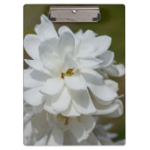 Silky Magnolia Klemmbrett (Vorderseite)