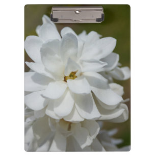 Silky Magnolia Klemmbrett