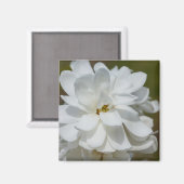 Silky Magnolia Magnet (Vorderseite/Rückseite)
