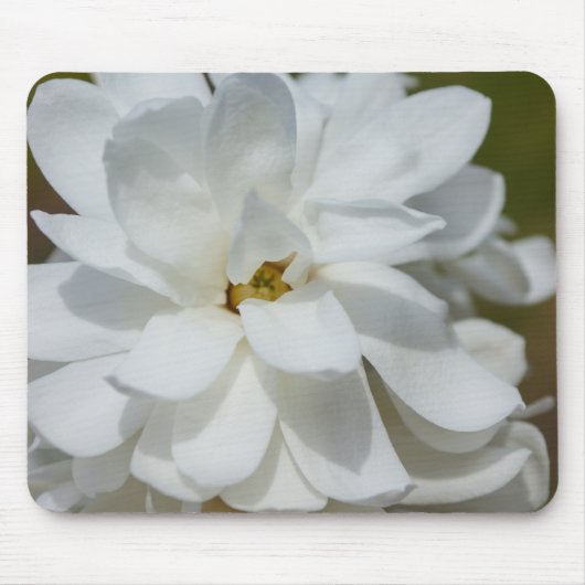Silky Magnolia Mousepad (Vorne)