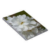 Silky Magnolia Notebook Notizblock (Rechte Seite)