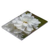 Silky Magnolia Notebook Notizblock (Linke Seite)