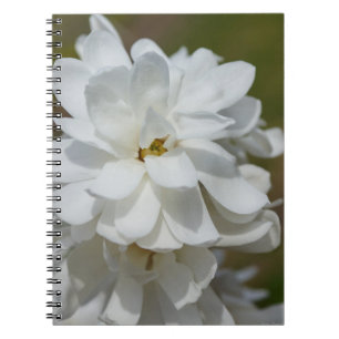 Silky Magnolia Notebook Notizblock