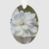 Silky Magnolia Ornament (Vorderseite)