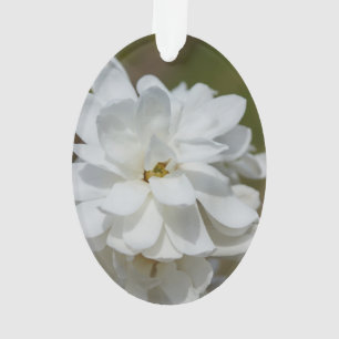 Silky Magnolia Ornament