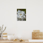 Silky Magnolia Poster (Küche)