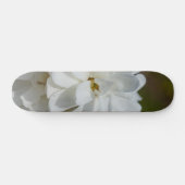 Silky Magnolia Skateboard (Horizontal)