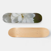 Silky Magnolia Skateboard (Horizontal)