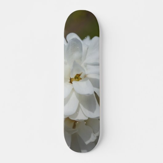 Silky Magnolia Skateboard (Vorne)