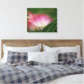 Silky Pink Mimosa Leinwanddruck (Insitu (Schlafzimmer))