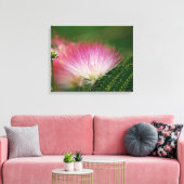 Silky Pink Mimosa Leinwanddruck (Insitu (Wohnzimmer))