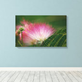 Silky Pink Mimosa Leinwanddruck (Insitu (Holzboden))