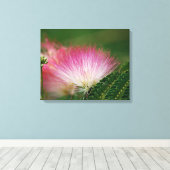 Silky Pink Mimosa Leinwanddruck (Insitu (Holzboden))