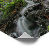 Silky Roots Forest Cascade Poster (Ecke)