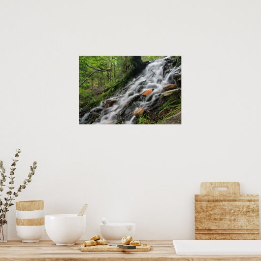 Silky Roots Forest Cascade Poster (Küche)