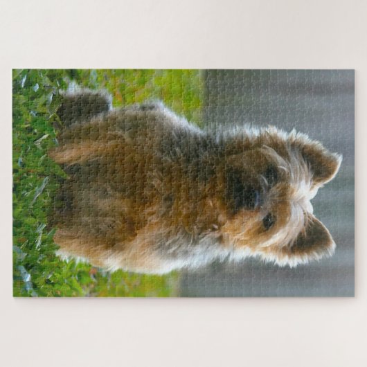 Silky Terrier Dog Jigsaws. Puzzle (Horizontal)