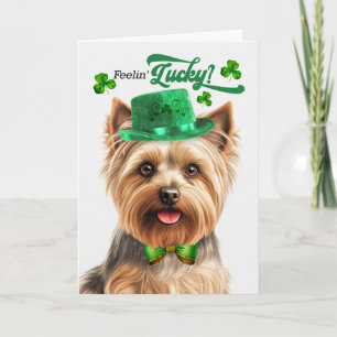 Silky Terrier fühlt sich am St. Patrick's Day glüc Feiertagskarte