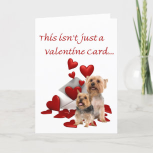 Silky Terrier ist unser Valentine Feiertagskarte
