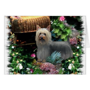 Silky Terrier Kunstgeschenke