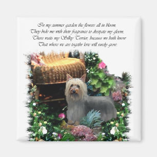 Silky Terrier Kunstgeschenke Magnet