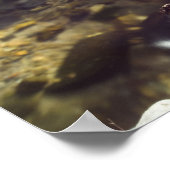 Silky Water 1 Poster (Ecke)