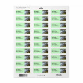 Silky Water 4 Green Address Label (Vorne)