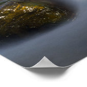 Silky Water 4 Poster (Ecke)