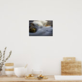 Silky Water 4 Poster (Küche)