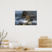 Silky Water 8 Poster (Küche)