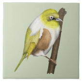 Sillvereye tauhou Neuseeländischer Vogel Fliese (Vorderseite)