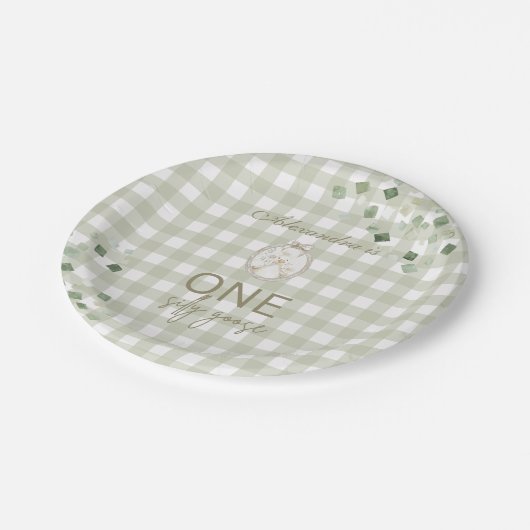 Silly Goose 1st Birthday Green Gingham Pappteller (Schrägansicht)