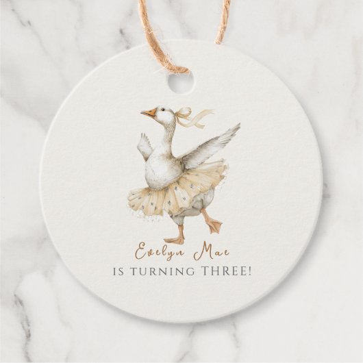 Silly Goose 3rd Birthday Watercolor Geschenkanhänger (Vorderseite)