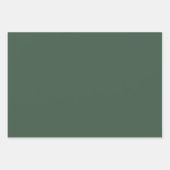 Silly Goose ABA Xmas RBT BCBA Behavior Therapist Geschenkpapier Set (Vorderseite 3)