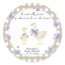 Silly Goose Baby Shower