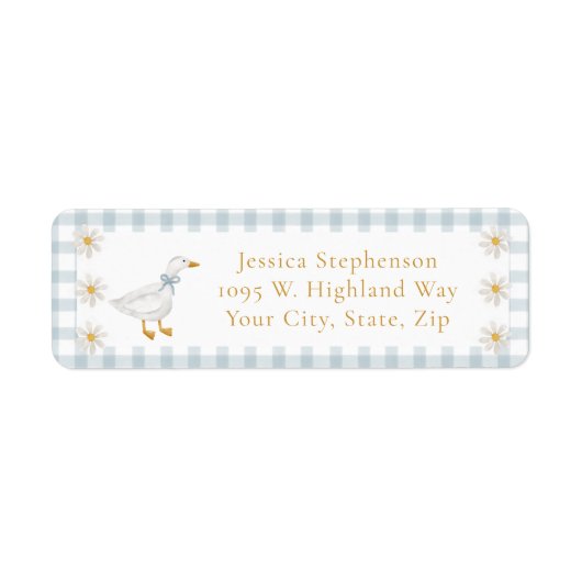 Silly Goose Blue Gingham Cottage Baby Shower  (Vorne)