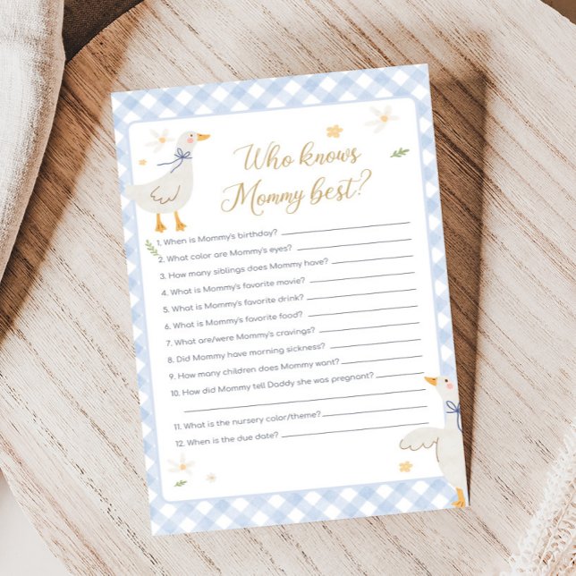 Silly Goose Gingham Baby Shower Who knows Game (Silly Goose Baby Shower Game)