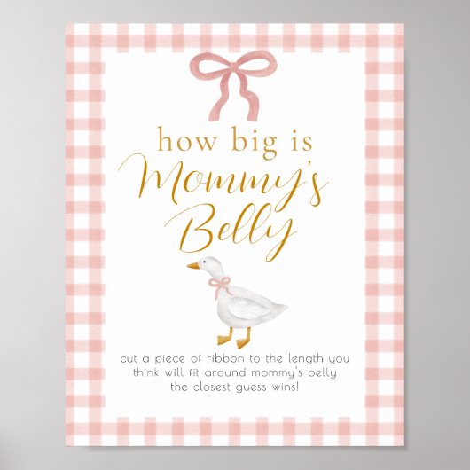 Silly Goose Rosa Gingham-Bauchmessspiel-Schild Poster (Vorne)