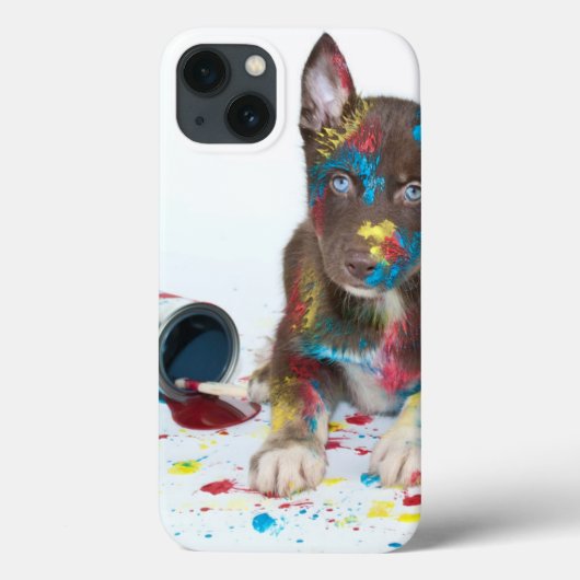 Silly Husky Puppy got into Paint Buckets Case-Mate iPhone Hülle (Rückseite)