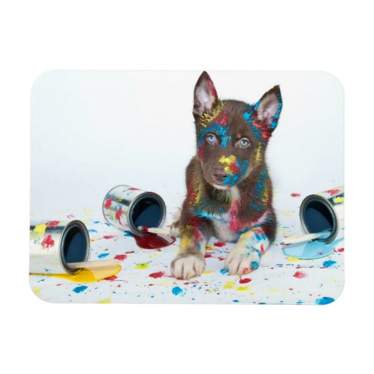 Silly Husky Puppy got into Paint Buckets Magnet (Horizontal)