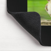 Silly Owl Cat Meme I Can't Take It Anymore Mousepad (Ecke)