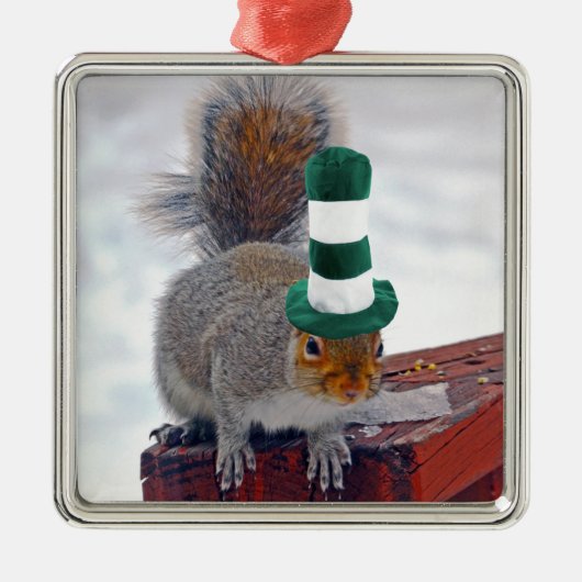 Silly Squirrel with Green Striped Hat Ornament Aus Metall (Vorne)