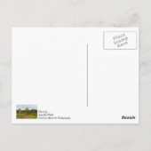 Silo Stands Postkarte (Rückseite)