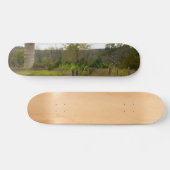 Silo Stands Skateboard (Horizontal)