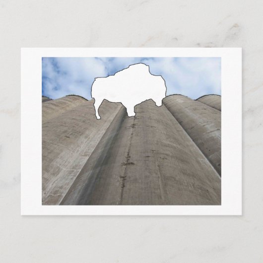 Silo und Buffalo Postcard Postkarte (Vorderseite)