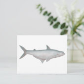Silond Catfish Postkarte (Stehend Vorderseite)