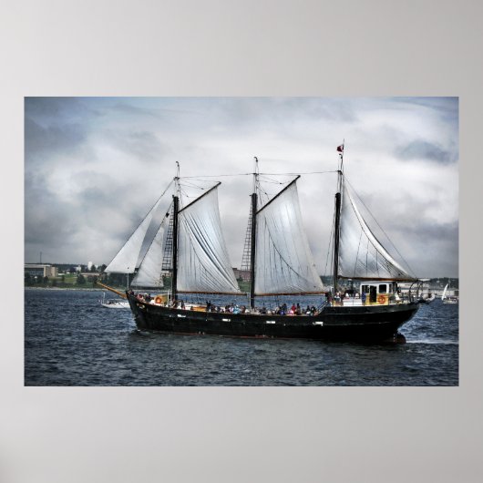 Silva Print Poster (Vorne)